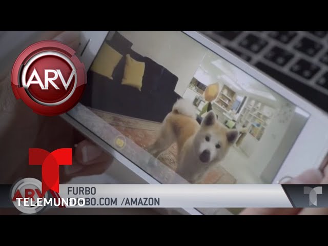 Vídeo relacionado con Adopta un regalo divertido para los amantes del perro para hombres, mujeres y niños Camiseta