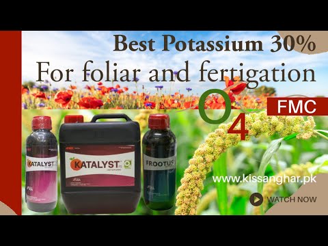 Katalyst fmc Frootus Fmc To increase crop yield and quality literally | Kissan Ghar O4 technology