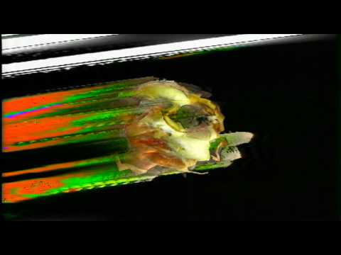 Video thumbnail for Mirror Error