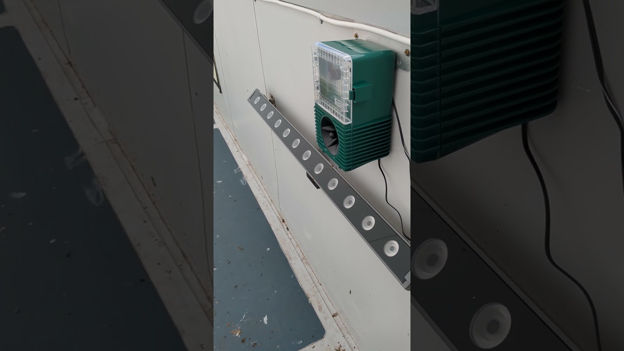 Bird scarer fitted for pigeon and gull control.