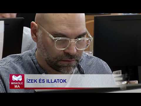 Videó előnézet