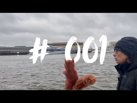 Daily Vlog #001 | Sturm, Fähre & Neujahrsstart | Team Schatzi unterwegs