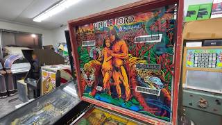 Repairing An Early Williams Jungle Lord Pinball Machine