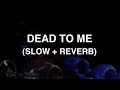 Sex Whales Fraxo Dead To Me Feat Lox Chatterbox Slow Reverb
