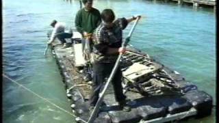 preview picture of video 'IL-2m3 Sturmovik roncs a Balatonban riport / wreck in lake Balaton , 1999 Május / May'