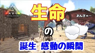 【社会人設定Ark】サバイバル7日目 初めての配合そして生命誕生