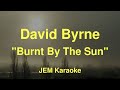 David Byrne - Burnt By The Sun (Karaoke)