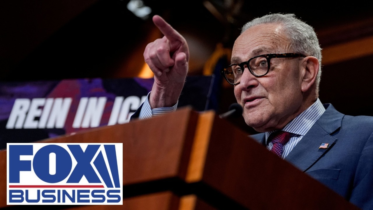 'What are Dems so afraid of?': GOP senator SLAMS opposition to voter ID laws