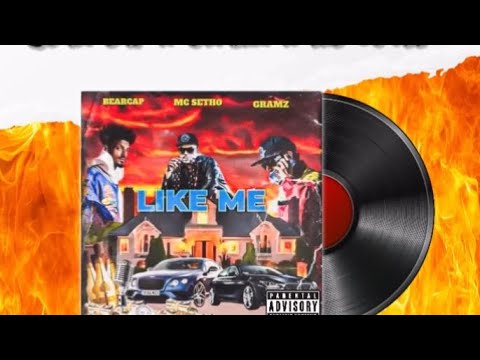 Bearcap & Gramz ft. MC Setho - like me (visualizer) promo only