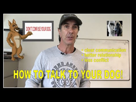YouTube video about: How to talk to your dog about homosexuality and communism?