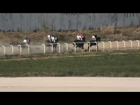 Trka "Memorijal Antonija Karnera" 20.10.2019 Markoni LP - Miloš Milojević