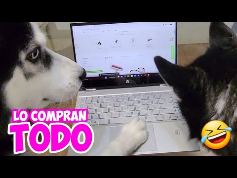MIS PERROS LO COMPRAN TODO 😱 Juguetes, Snacks y Accesorios para mascotas 🤣 ¡Son 🐕🐶 muy listos!
