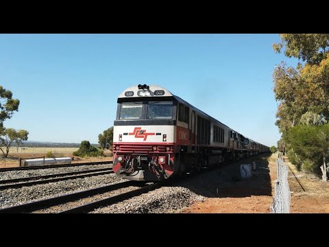 CSR002 + SCT015 + CSR007 + CSR009