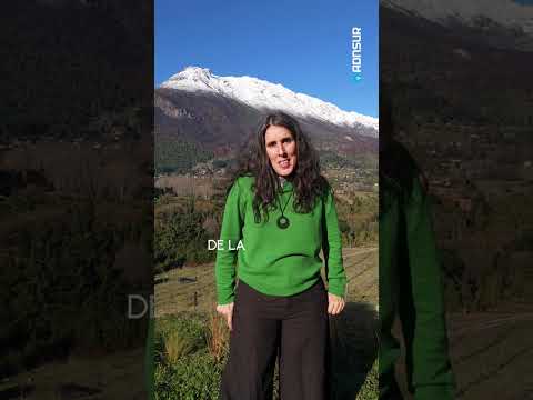 El laberinto vegetal más grande de Sudamérica está en Chubut: Un cuento de hadas en El Hoyo