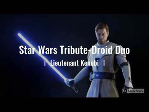 Star Wars Tribute-Droid Duo