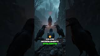 ¡Cuidado! Los cuervos recuerdan rostros humanos y guardan rencor 🧠🐦 #Animales #Ciencia