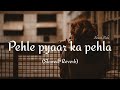 Pehle Pyaar Ka Pehla Gum Slowed Reverb Lofi Full Song Kavita Krishnamurthy Slowed Boba