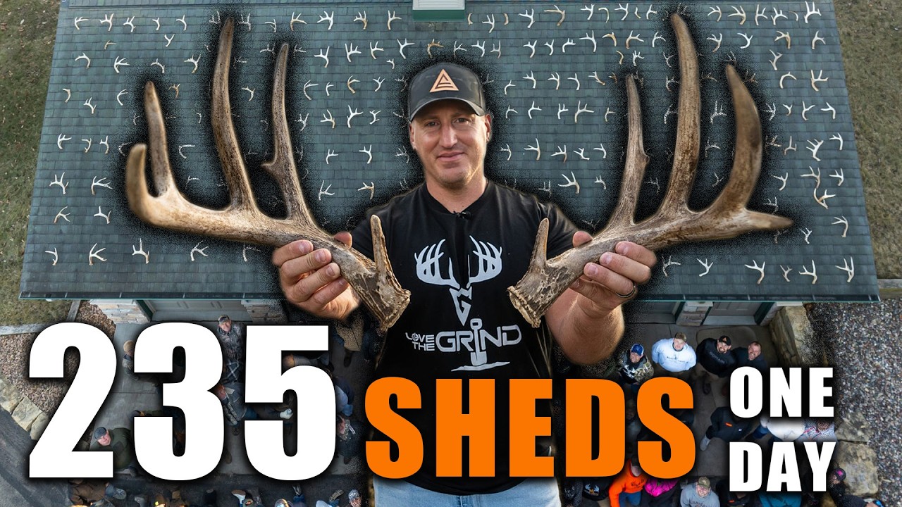 BEST DAY OF SHED HUNTING EVER! - 235 Sheds in One day!