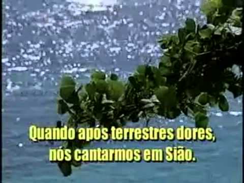 No Celeste Lar Glorioso, Hinario Adventista  N º 561