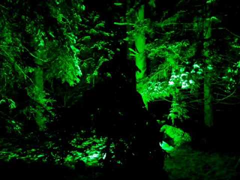 lenz & bombax - moto perpetuo