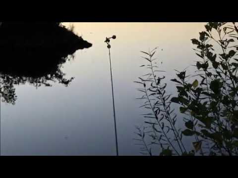 24h auf Wels an der Donau - Oktober 2019 | Angeln #04