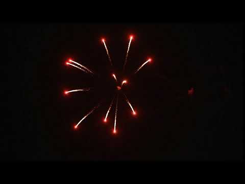 QD30338 - 75mm Magenta Palm