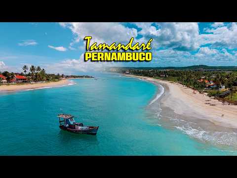 Tamandaré - PE | Imagens de Drone 4K