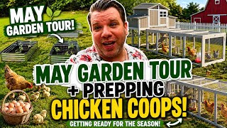 🌱 May Garden Tour 2026 & Chicken Coop Prep at Our New Homestead 🐔