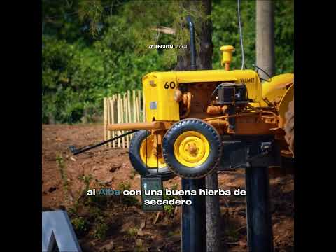 Colonia Aurora, Misiones - regionlitoral.net