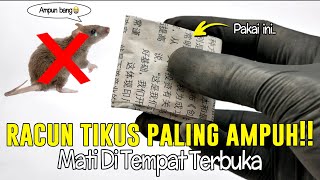 Download lagu Racun Tikus Terbaik - Tikus Mati Seketika..!!!! mp3