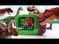 DINOSAUR EGGS HATCHING! Tyrannosaurus, Triceratops Dino Eggs Transformer 공룡알 부화