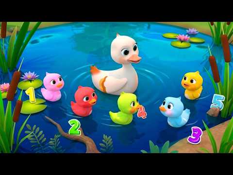 Counting Ducks Adventure