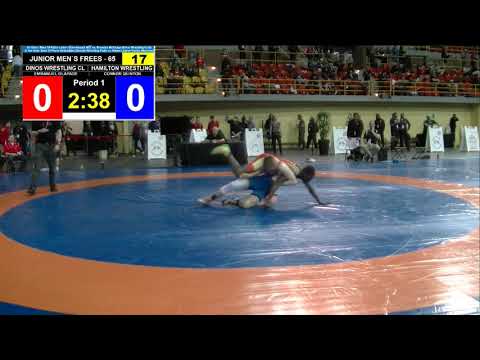 FS 65 017 Emmanuel OLAPADE v. Connor QUINTON