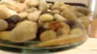 When science fails (goldfish)