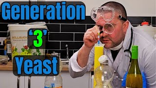 How many times can yeast be re-used for home fermentation. This is generation 3.