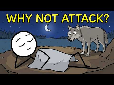 Why Do Predators Ignore Sleeping Humans?