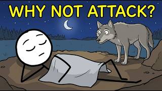 Why Do Predators Ignore Sleeping Humans?