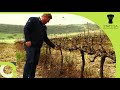 Census Of Commercial Agriculture 2018 CoCA Liam Viljoen