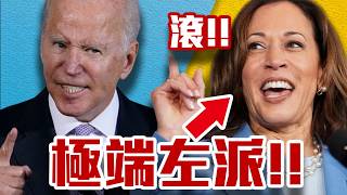 [討論] 賀錦麗 是極左小彩紅？