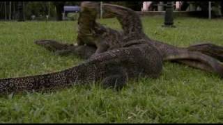 PBS Nova Lizard Kings part 5