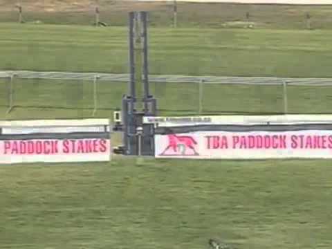 The Paddock Stakes, G1 (SAF) - 09/01/2010