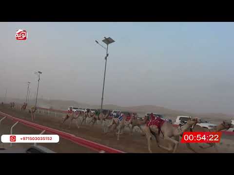  ش 6 (الصعب) لـ متعرض حمد بن محمد العفاري 2:09:63 ، شارة الصندوق 2026/07/18 فطامين الوقن