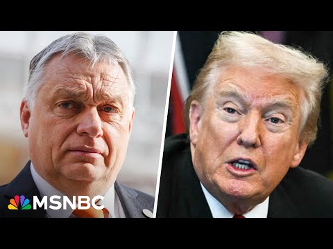 LIVE: Trump participates in a bilateral lunch with Hungarian Prime Minister Viktor Orbán