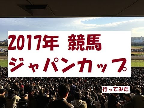 【競馬 ジャパンカップ】行ってみた 2017.11.26 【ジャパンカップ】【東京競馬場】