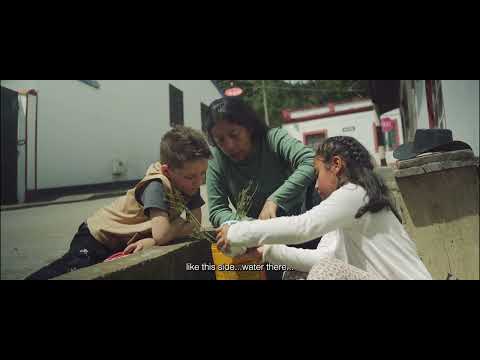 El vaquero/tráiler (Selección MICMXIFF6 2025)