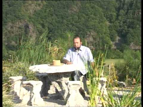 Borelióza, 1 část