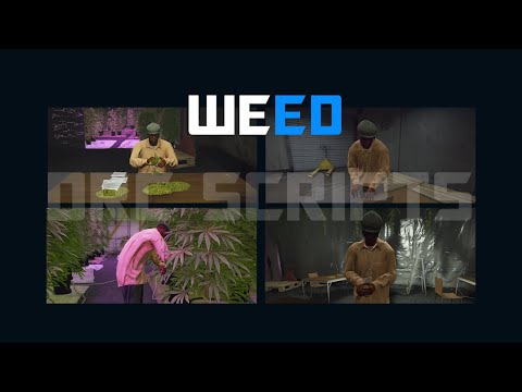 DRC Scripts | İllegal Meslekler