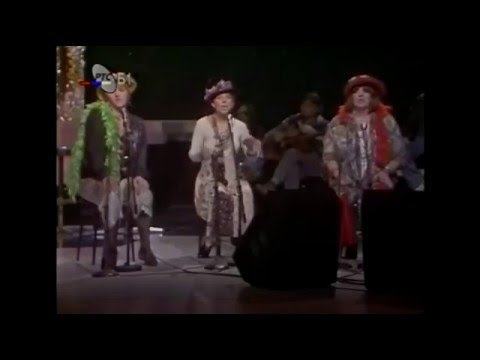 Suncokreti - Moje bube (Uzivo)