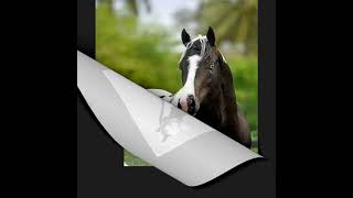 LA MEDIA VUELTA/ GRUPO LABERINTO.