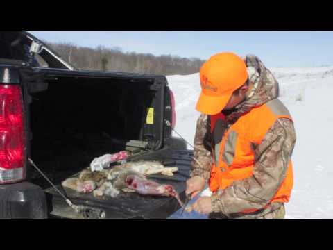 Quick & Easy - How to Clean A Rabbit - YouTube